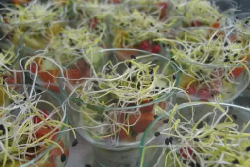 Stéphane Larré, Pâtisserie Cocktail Réception — photo 7