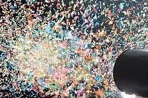 Agence Acces — photo 4