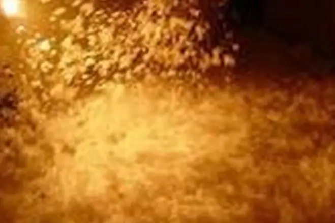 Agence Acces — photo 5