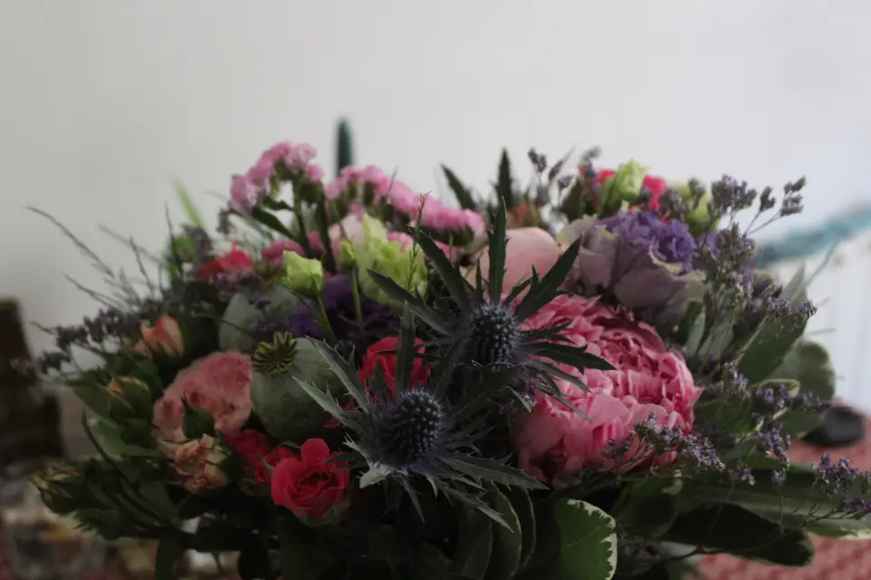 Mademoiselle Plume — photo 7