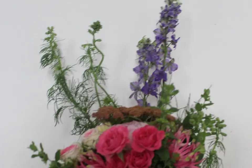 Mademoiselle Plume — photo 8