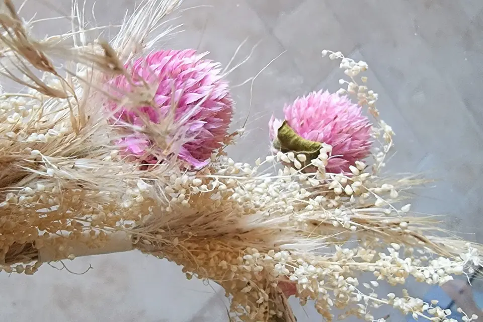 Fleurir l'Avenir — photo 7