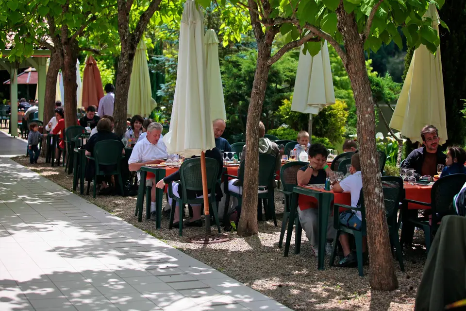 Le Domaine du Roi Kysmar — photo 7