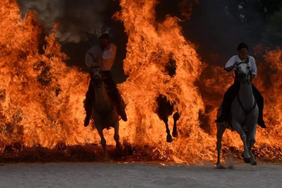 Action Equicoaching — photo 5