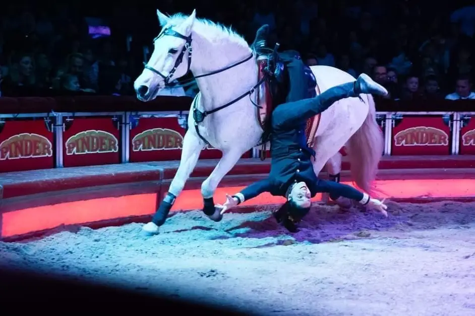 Action Equicoaching — photo 7