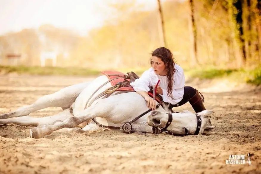 Action Equicoaching — photo 2