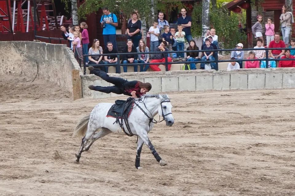 Action Equicoaching — photo 6