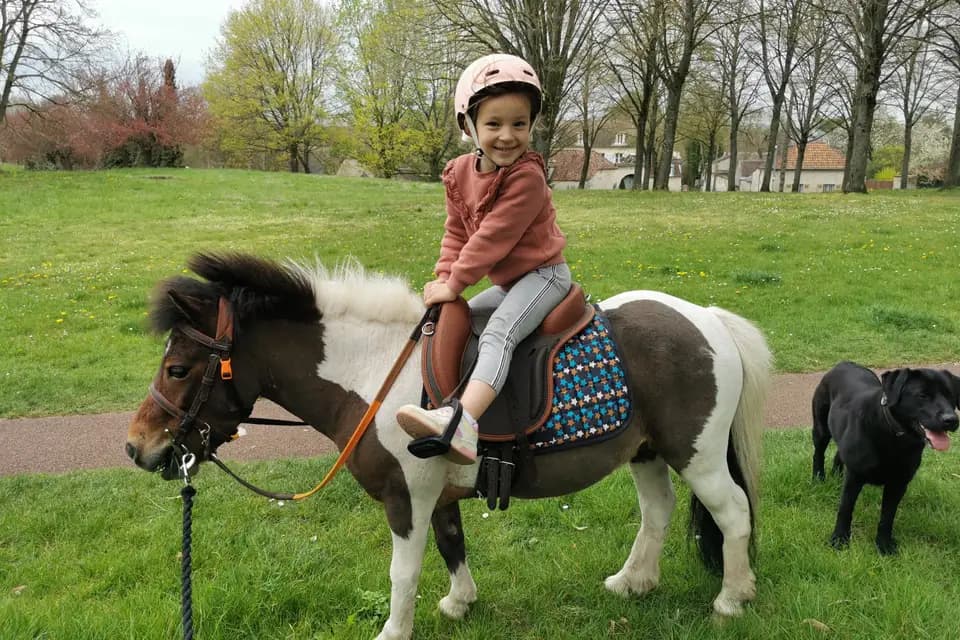 Action Equicoaching — photo 8