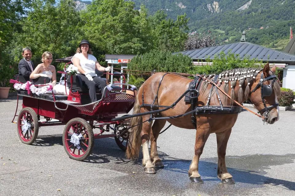 Les Attelages Marnerots — photo 1