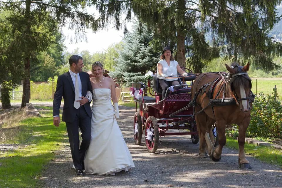 Les Attelages Marnerots — photo 2