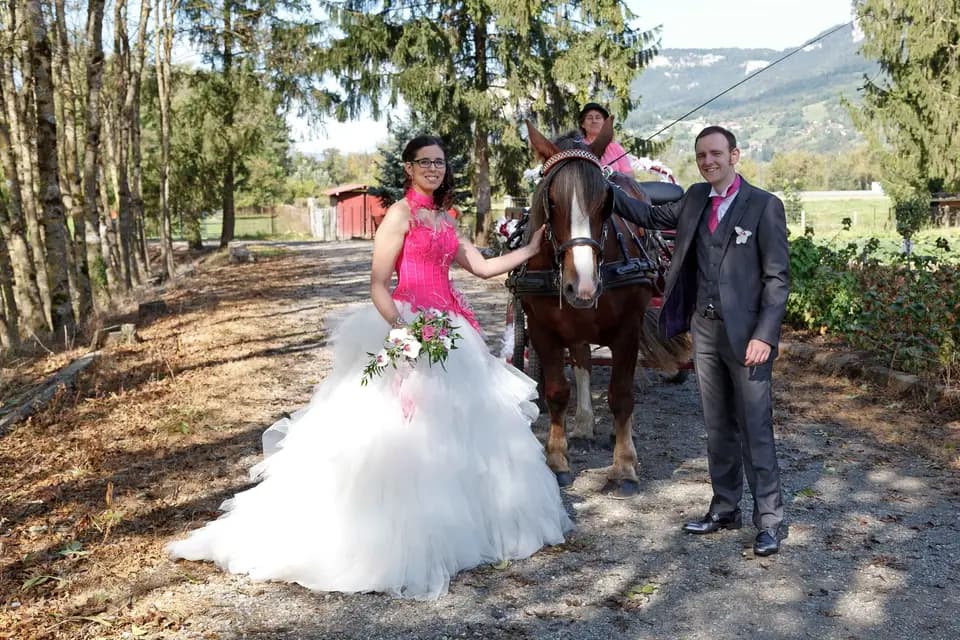 Les Attelages Marnerots — photo 7