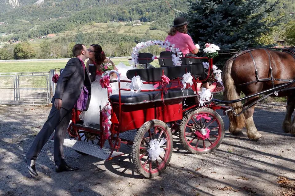 Les Attelages Marnerots — photo 5