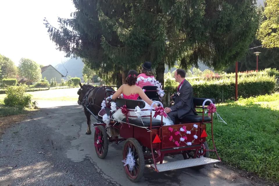 Les Attelages Marnerots — photo 6