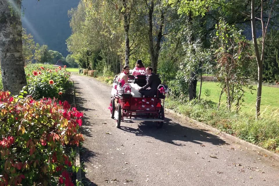 Les Attelages Marnerots — photo 4