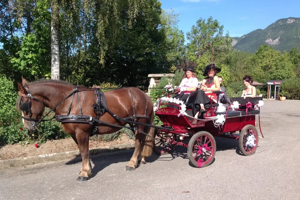 Les Attelages Marnerots — photo 3