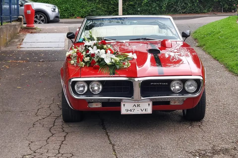 Nicolas Loc — photo 7