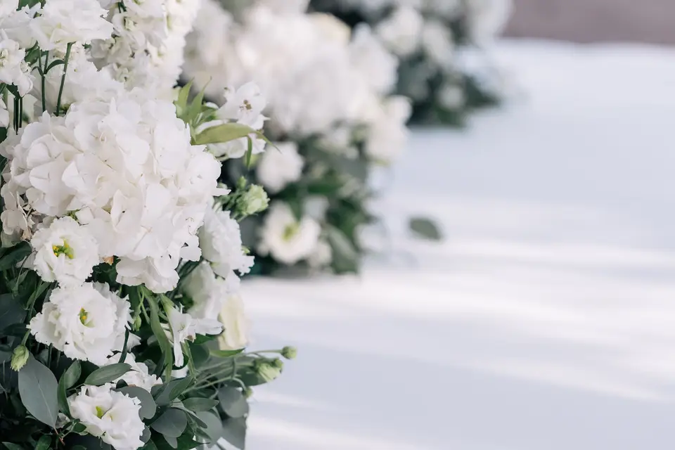 Soirée Locations — photo 6