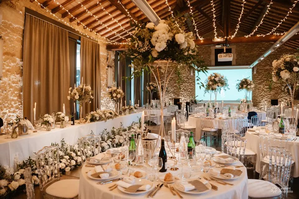 Dimfeel Events Locations — photo 1