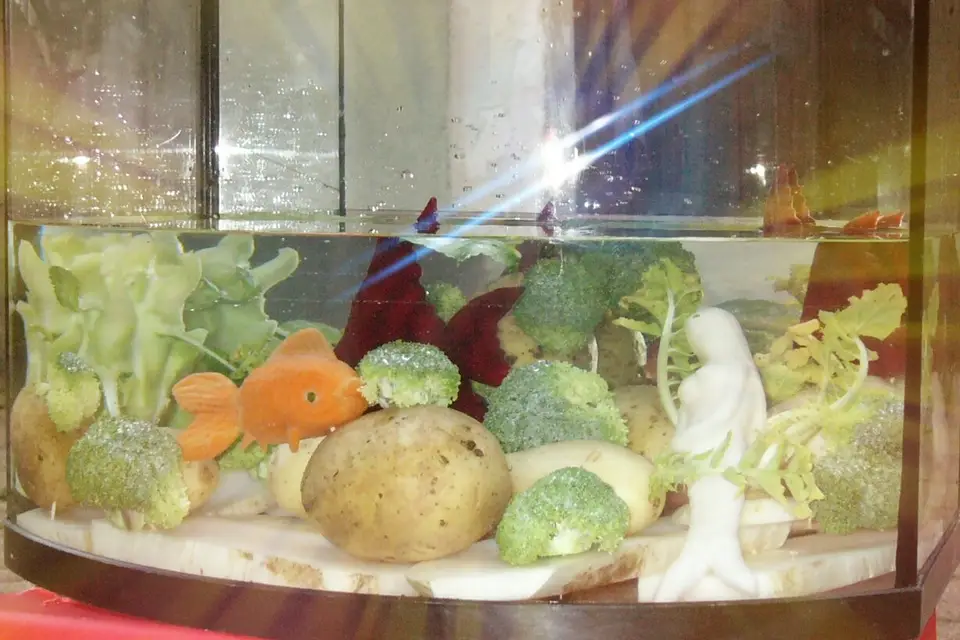 Art&Style Veggies — photo 5