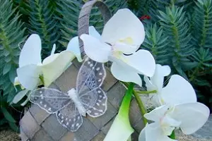 Arflorelle — photo 3