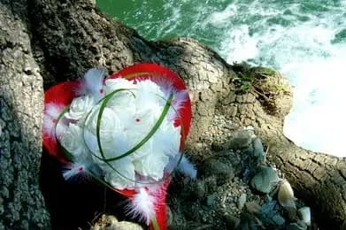 Arflorelle — photo 5