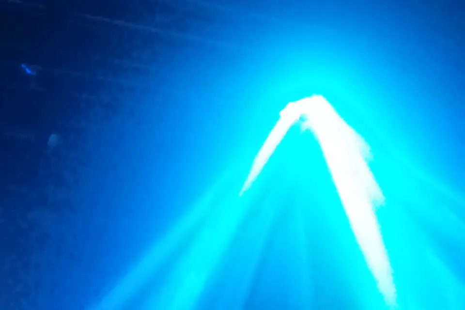 Music Night Show — photo 5