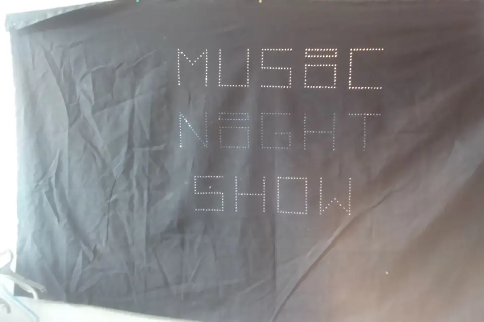 Music Night Show — photo 8