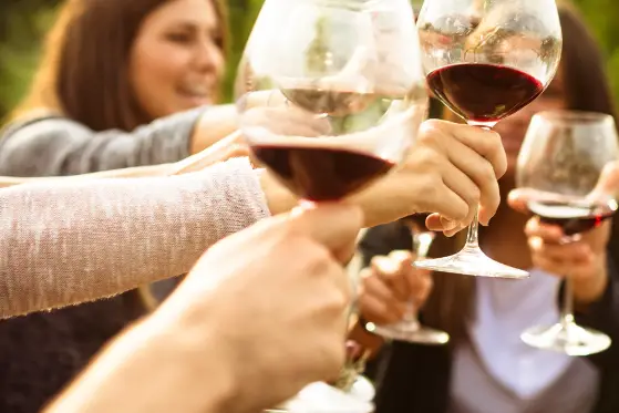 Vino Cado — photo 4