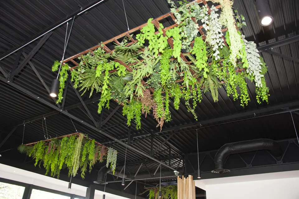 Chez Sophie & Fils — photo 7