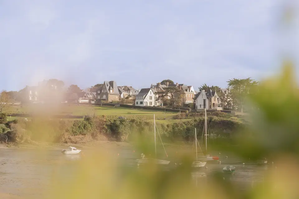 Motion Reflect — photo 2