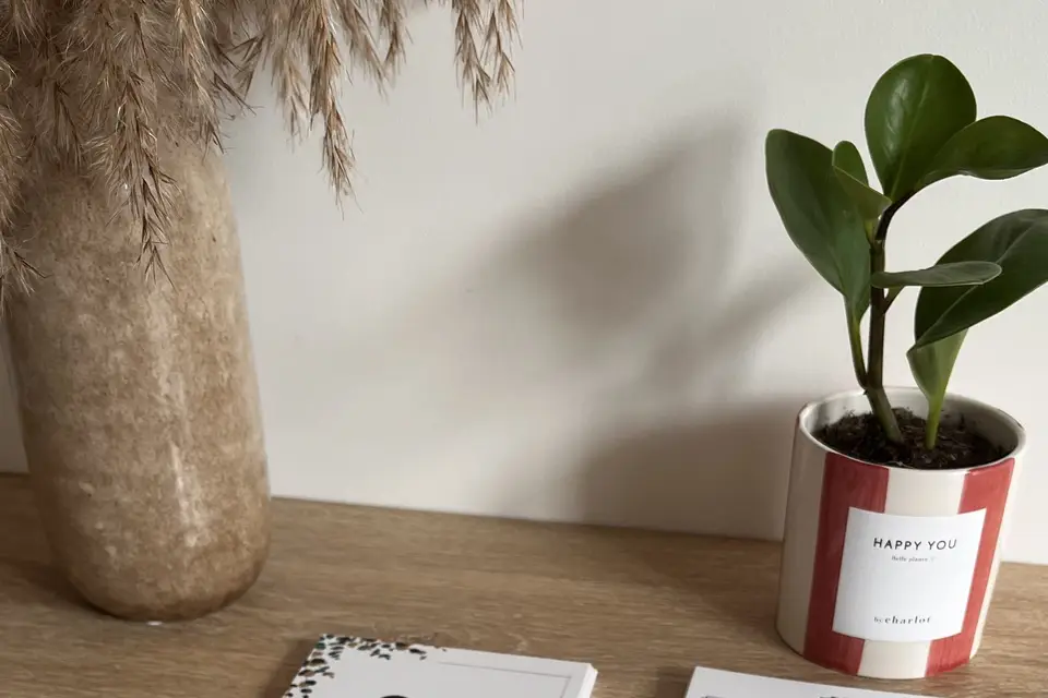 Le trait de Karaah — photo 5