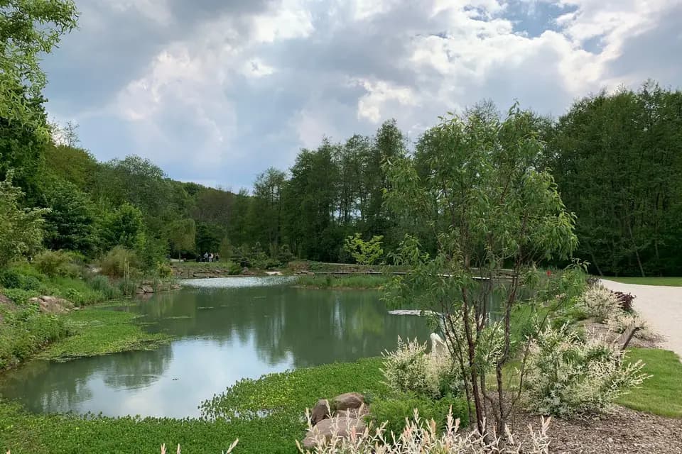 Europyro — photo 4