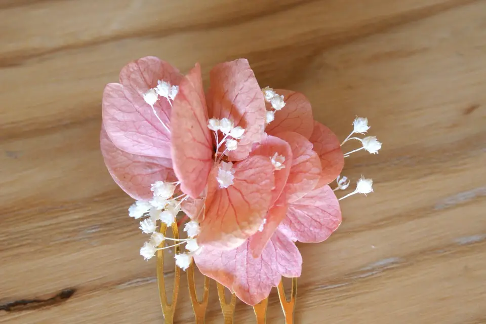 Citadine des champs — photo 2