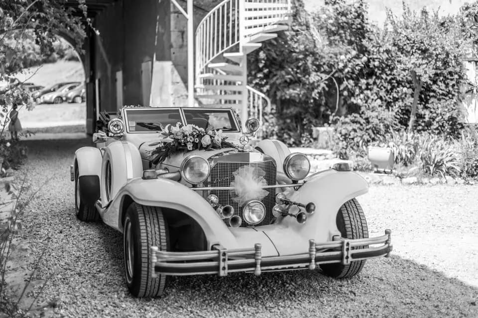 Vins + Vins — photo 6