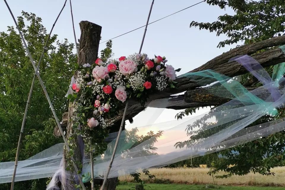 Il Etait Une Fleur — photo 3