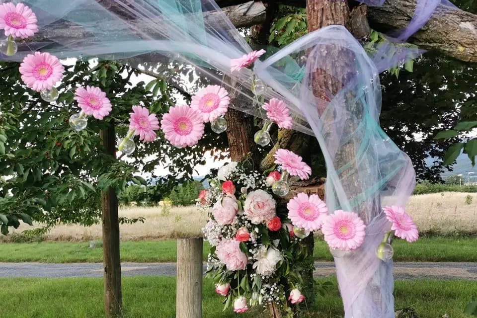 Il Etait Une Fleur — photo 4