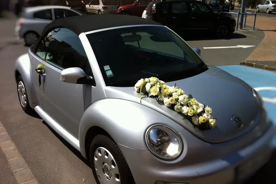 Coquelicot — photo 1