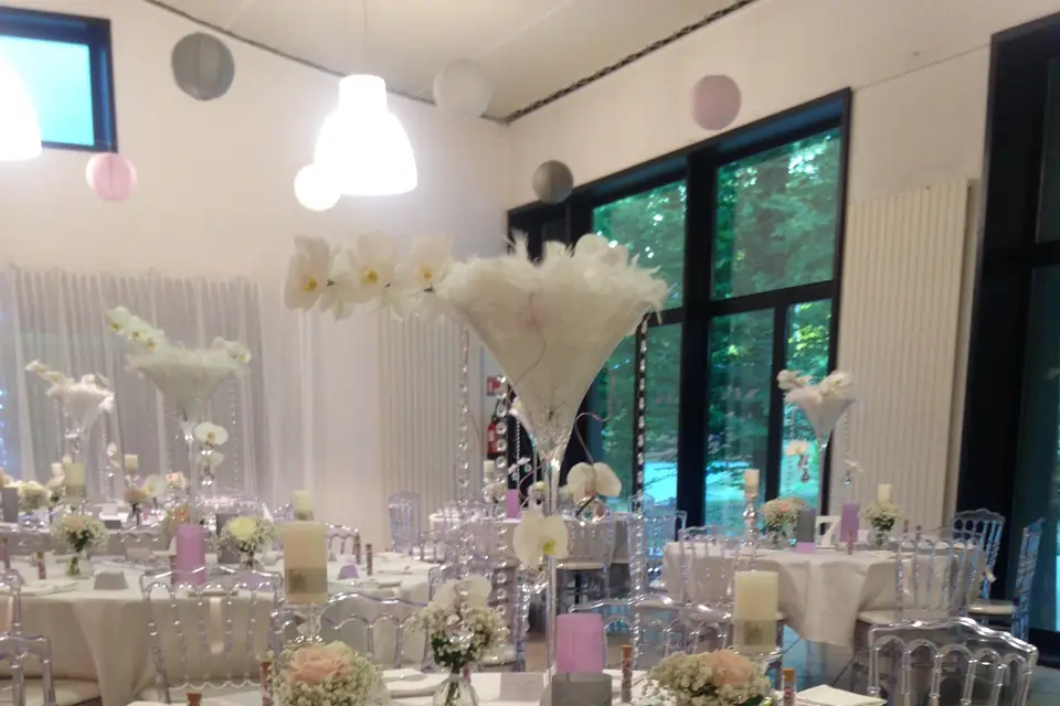 Mirabelle — photo 4