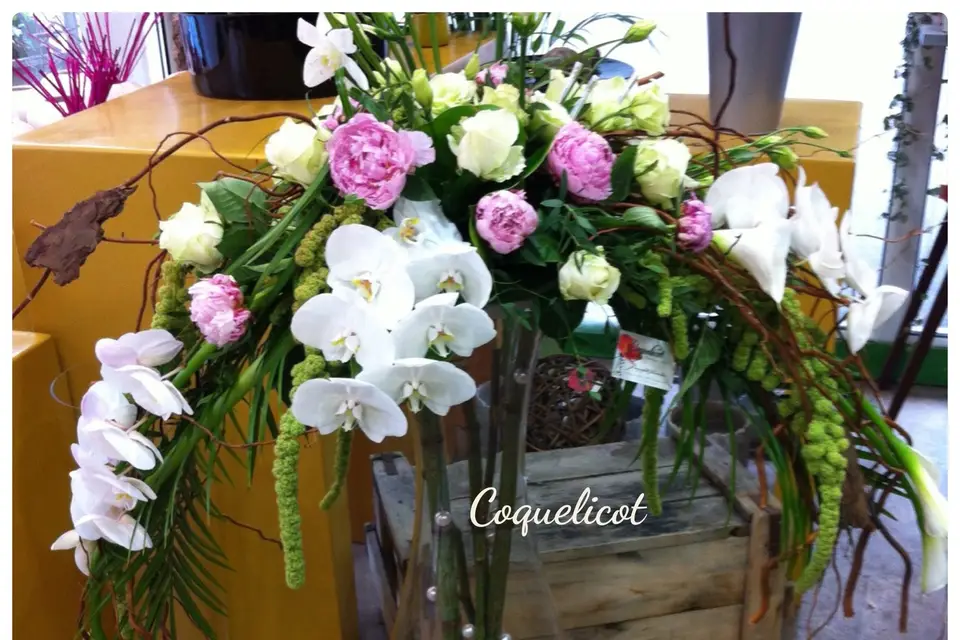 Coquelicot — photo 8