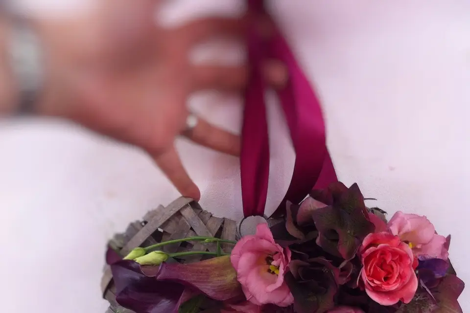 Coquelicot — photo 5