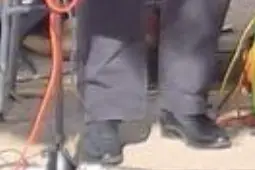 Pink Dogs — photo 5