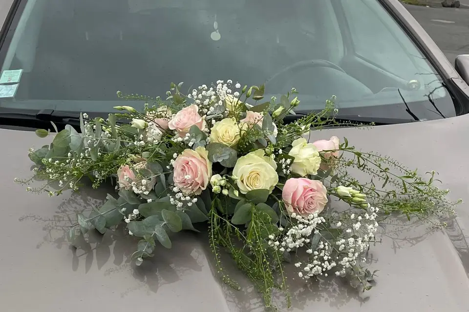 Eglantine et Pivoine — photo 3