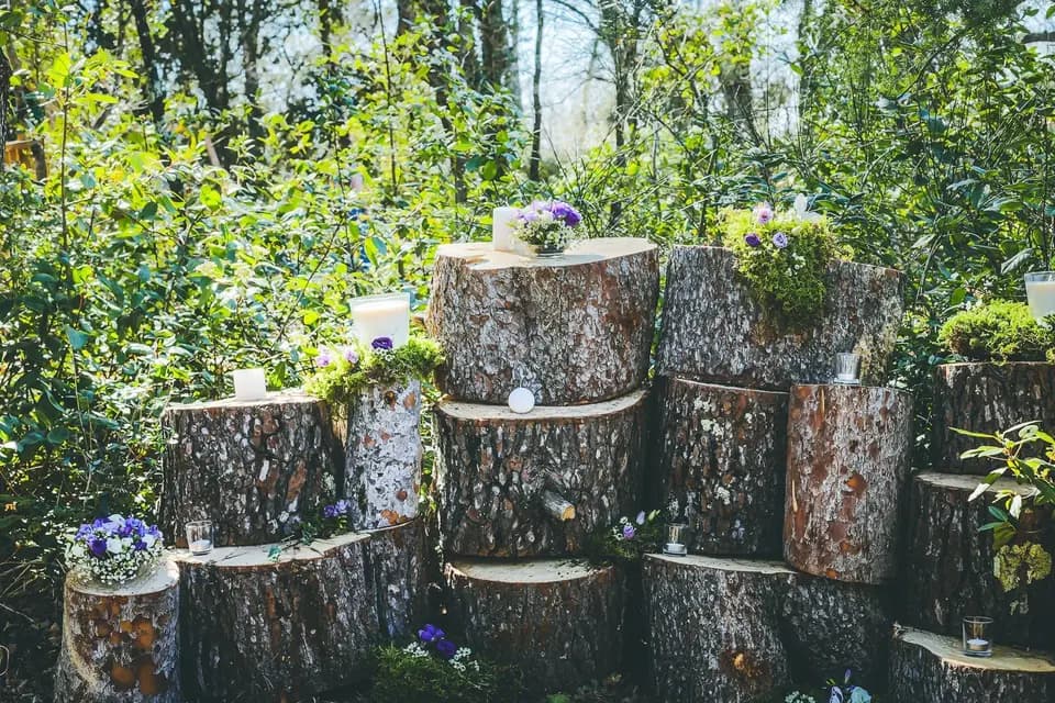 I'M Love — photo 3