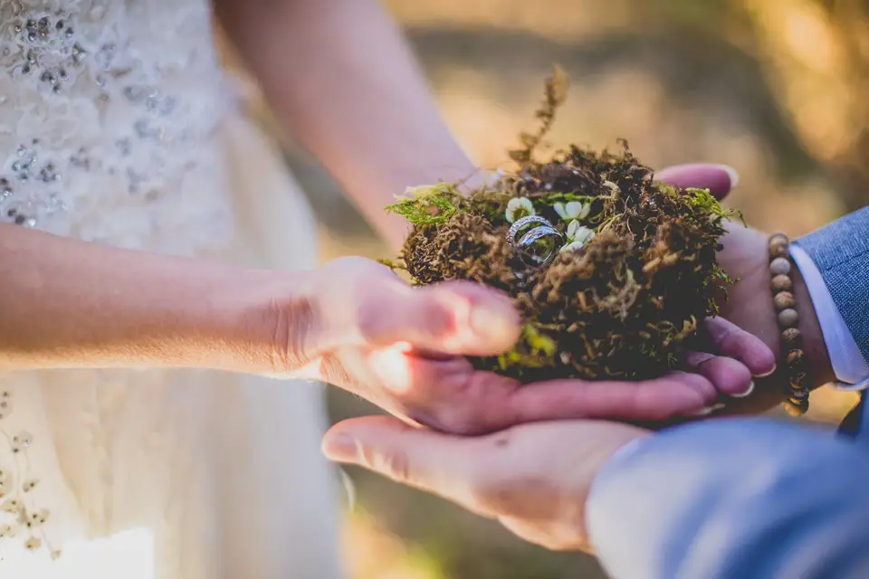 I'M Love — photo 8