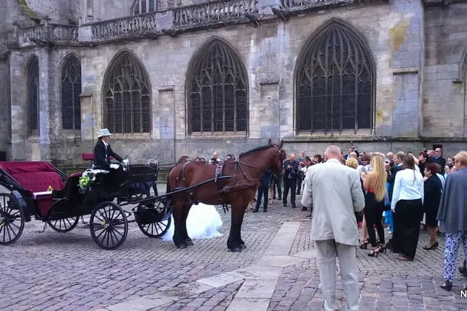 Normandie Trait — photo 8