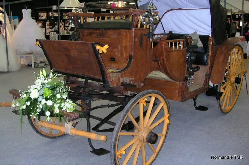 Normandie Trait — photo 3