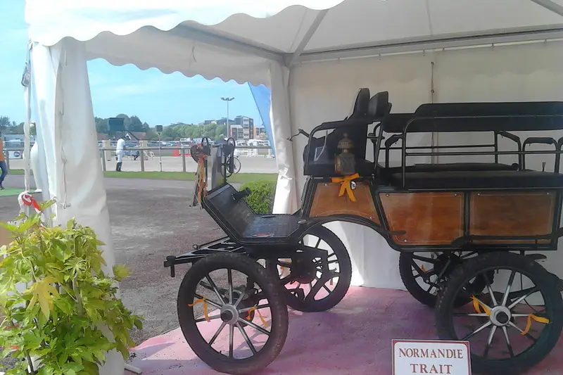 Normandie Trait — photo 6