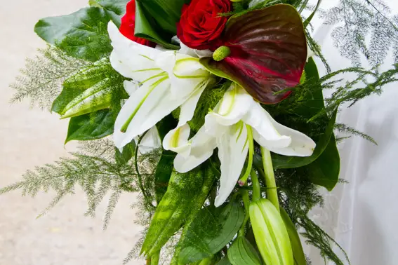 Studio Azur — photo 4