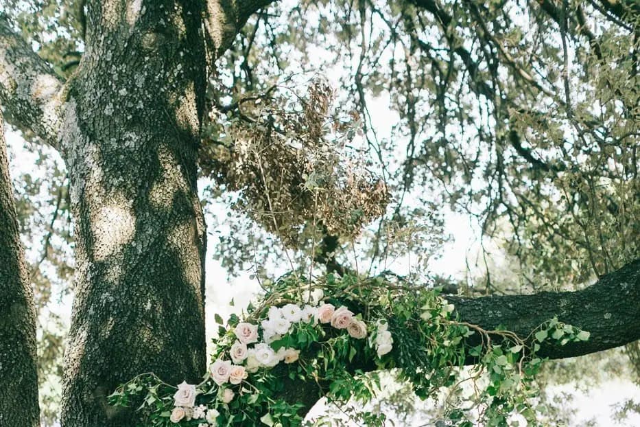 Fleurs de Fée — photo 3