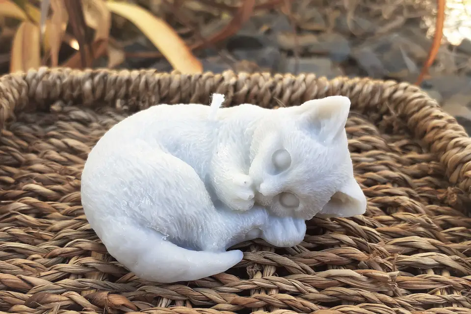 Cire en Scène — photo 8